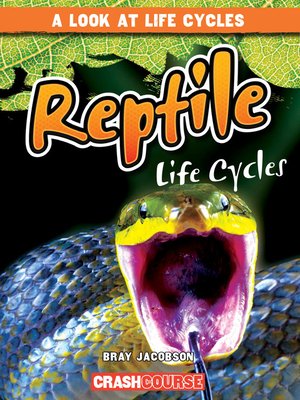 cover image of Reptile Life Cycles